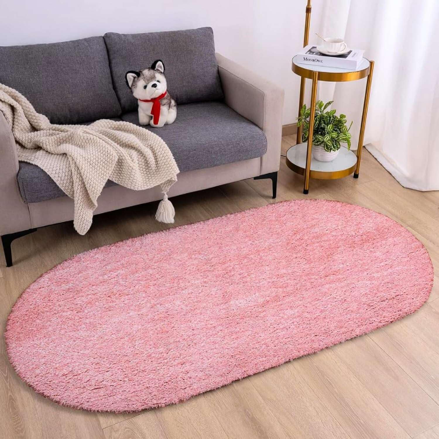 Cloud Soft Oval Shaggy Carpet and Rug