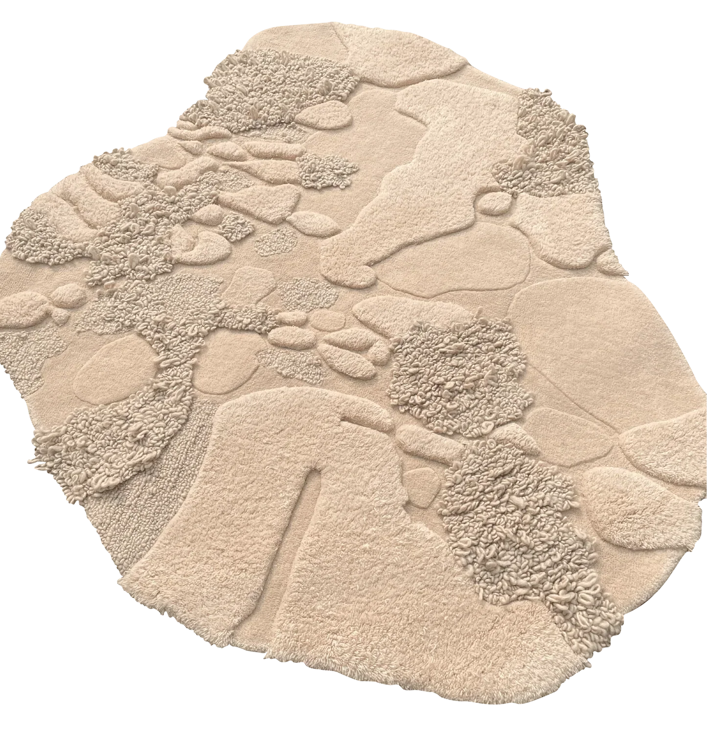 Elegant Beige Irregular Carpet & Rug