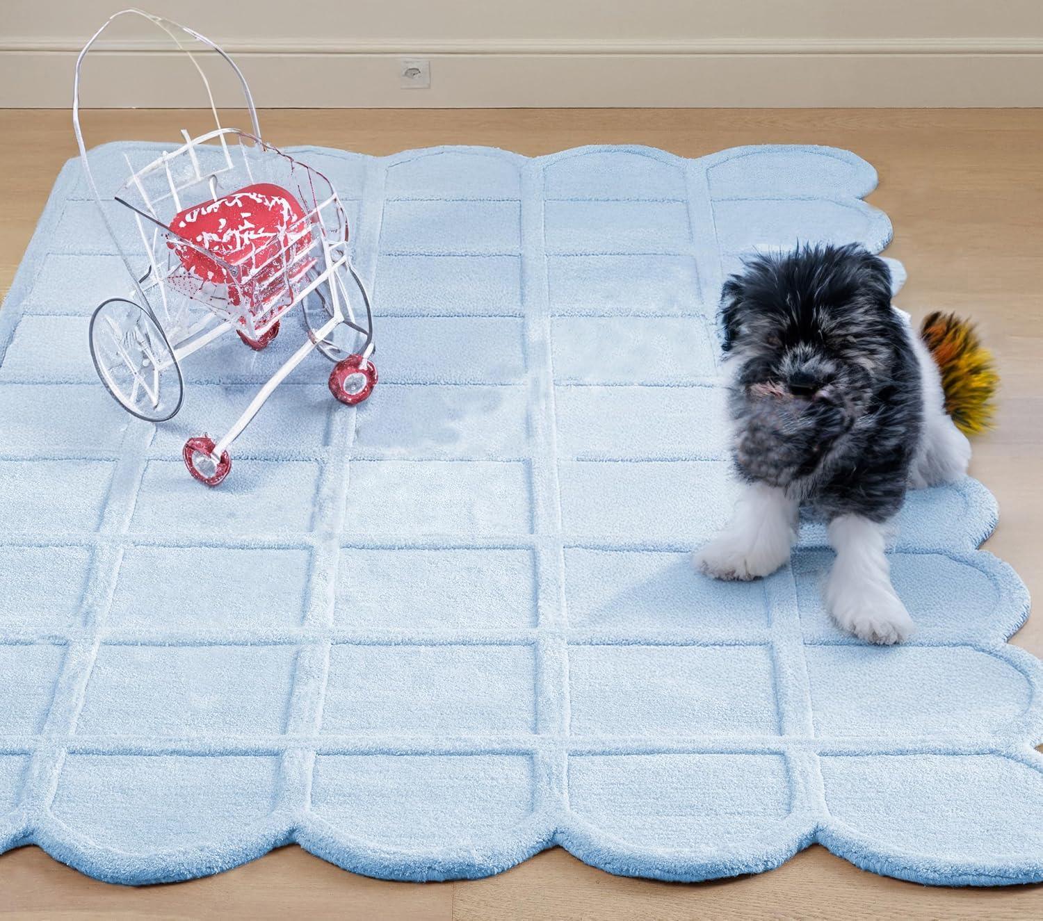 Lite Blue Plush Irregular Carpet & Rug