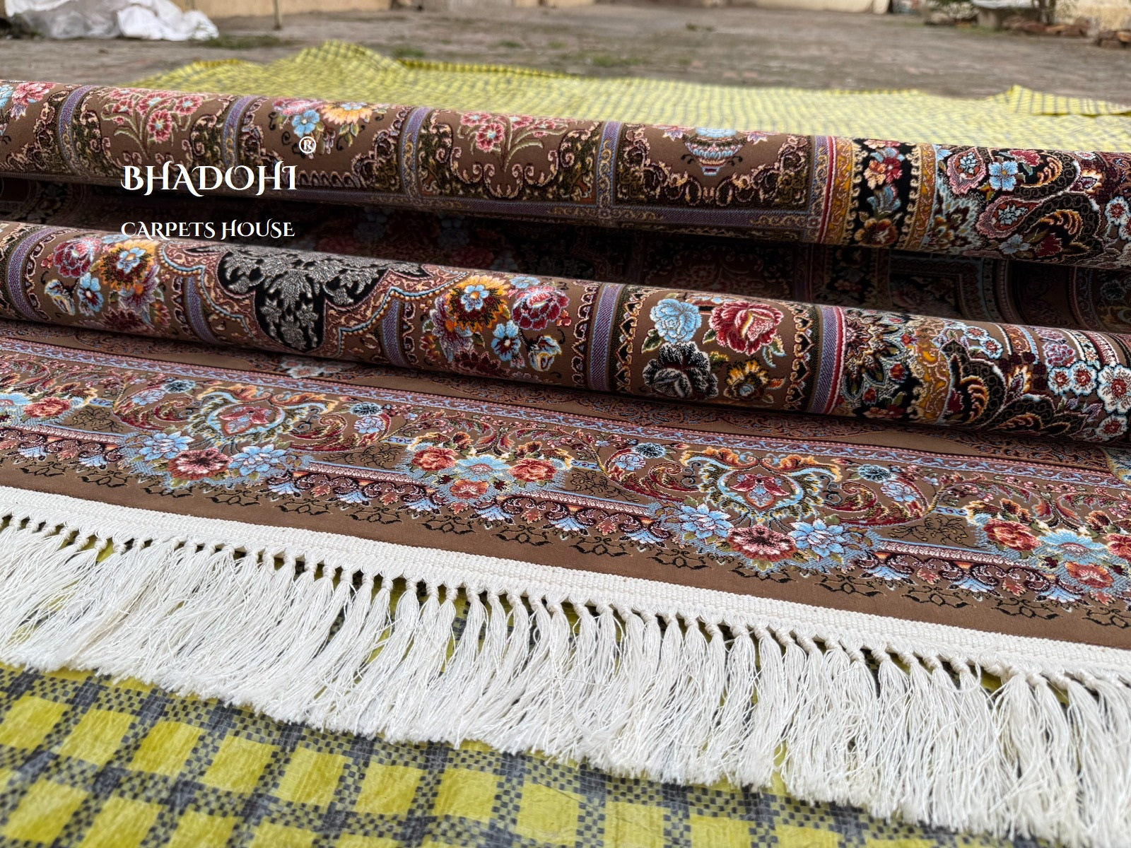 Shiraz Blossom 1200 Reeds Irani Carpet & Rug