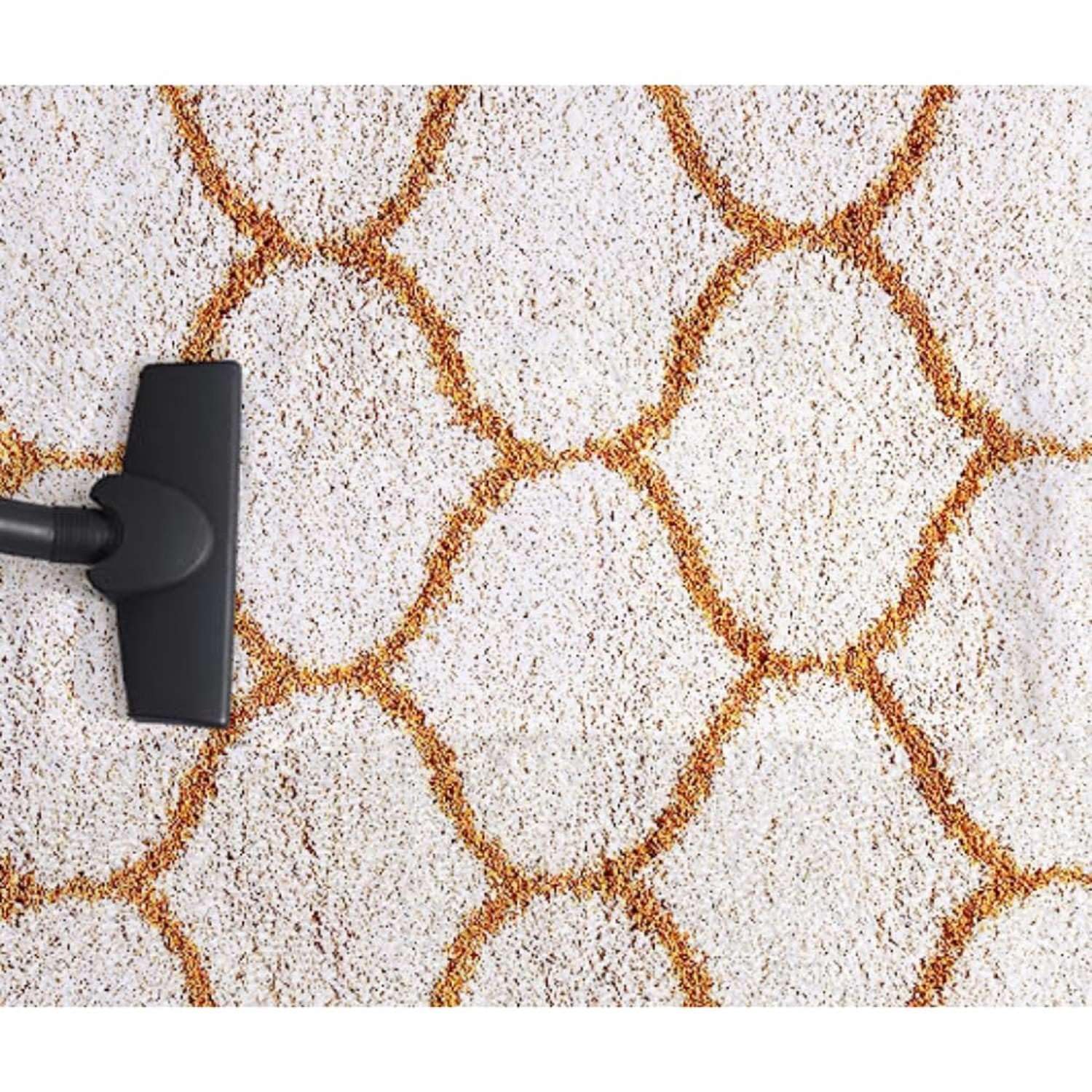 Velvet Fluff Oval Shaggy Carpet and Rug