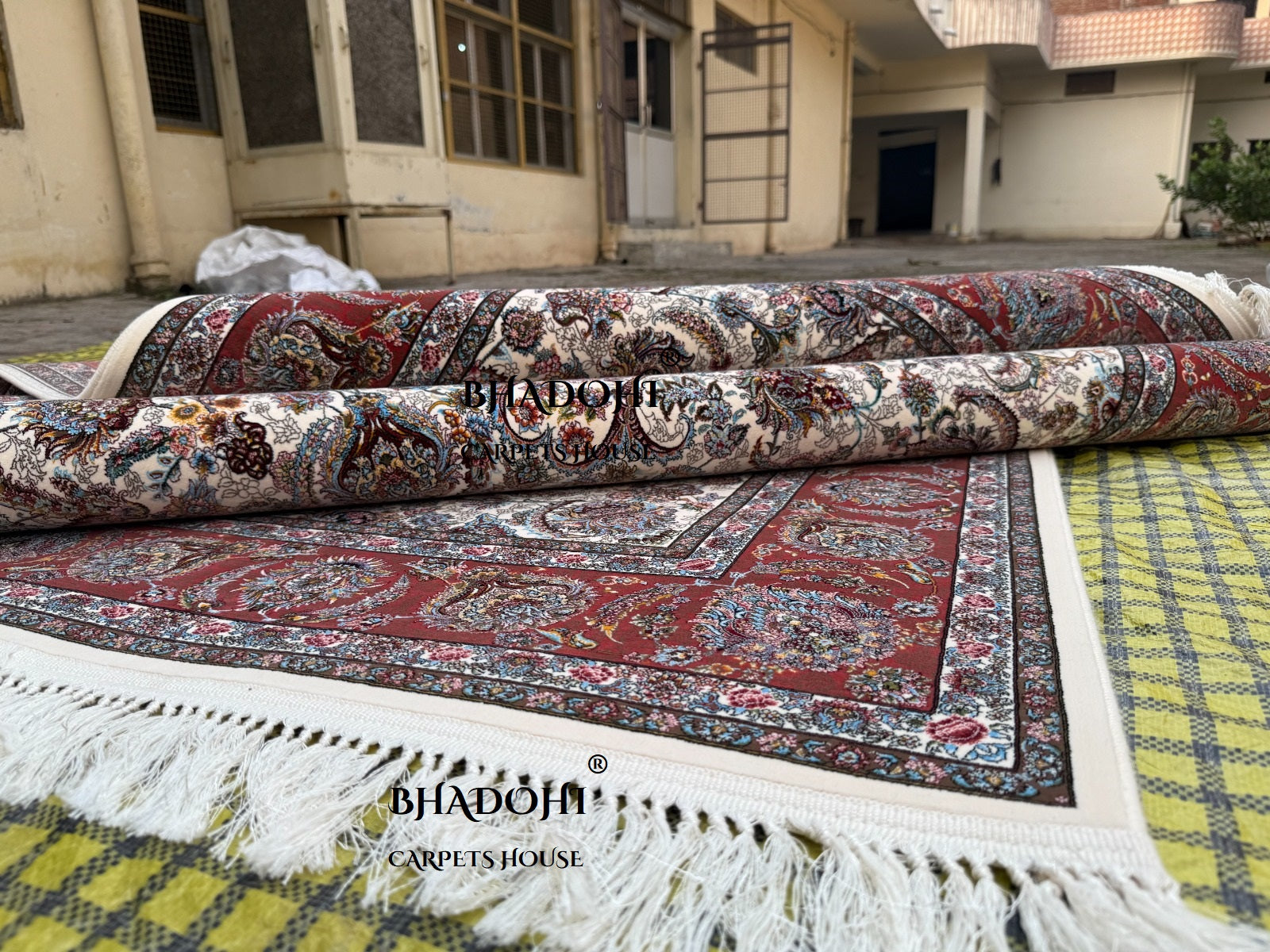 Ivory Color Iranian Knotted 1200 Reeds Silk Rug