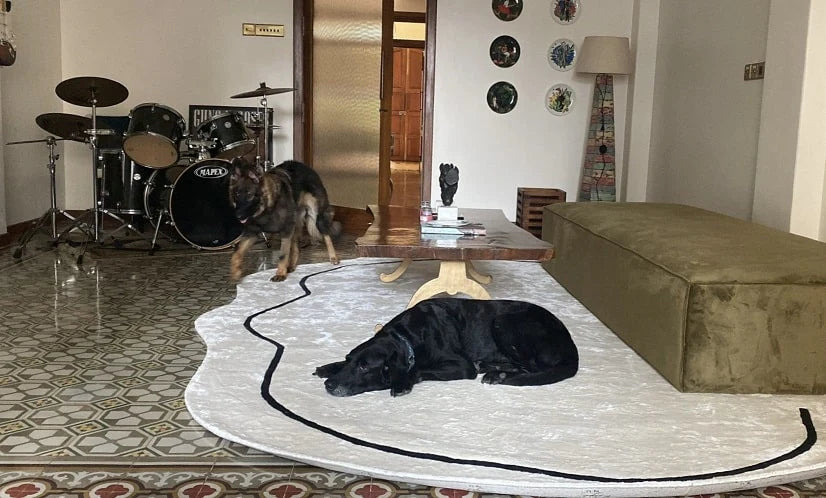 White Irregular Viscose Silk Hand-Tufted Rug