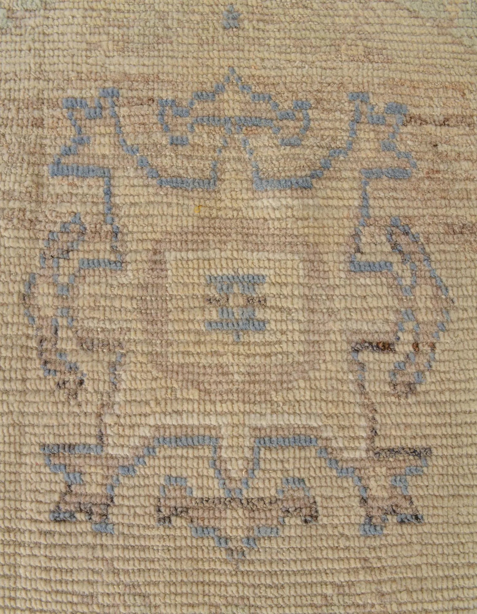 Penelope Oushak Hand-Knotted Wool Rug